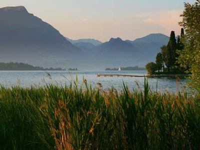 红桃免费视频官网-旅行Vlog